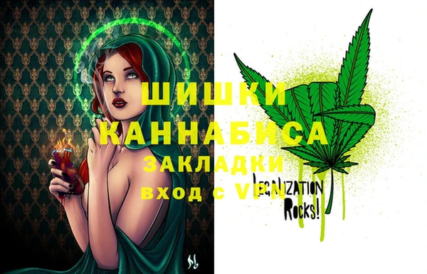 шишки Нягань
