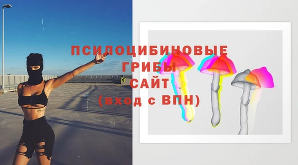 а пвп мука Няндома