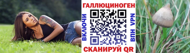 Псилоцибиновые грибы GOLDEN TEACHER  блэк спрут сайт  Судак 